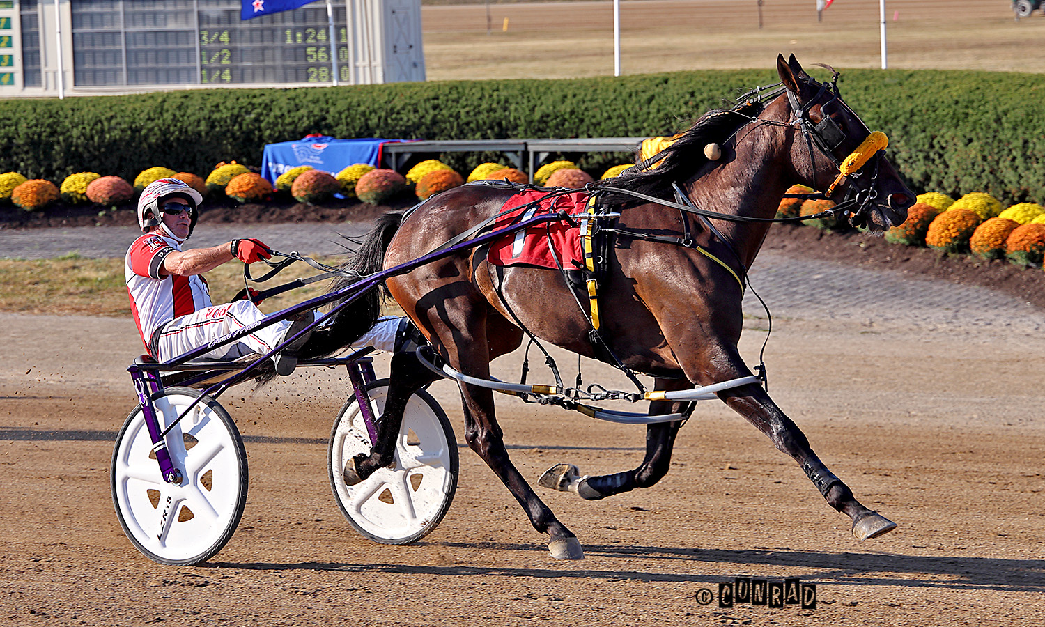 Jugette undercard delivers records and rising stars 1