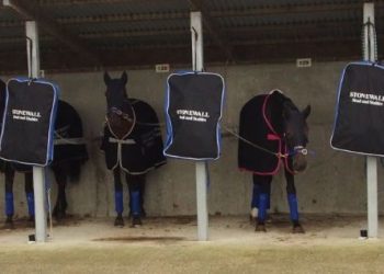 Stonewall’s South barns expands