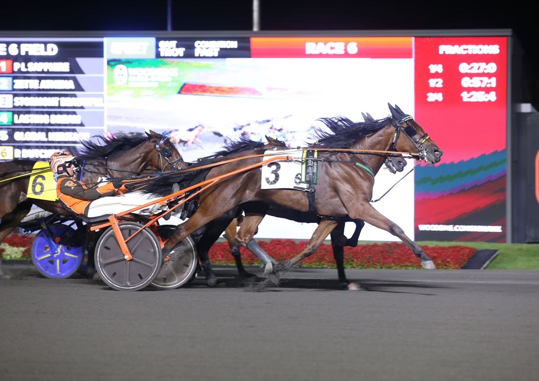 Denarius, Shimmering Hanover sweep $163,725 Champlain Stakes 3