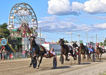 Massive Speed & Snowonthepines put unbeaten records on the line