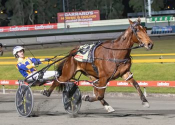Purdon and Williamson ponder Cup time
