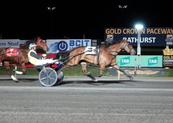 Tenaciously and Smirkin Serene prevail in Breeders Heats at Bathurst