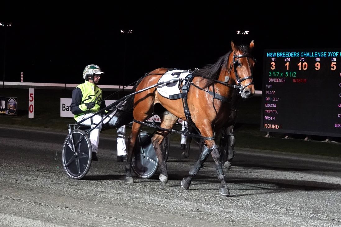 Tenaciously and Smirkin Serene prevail in Breeders Heats at Bathurst 2