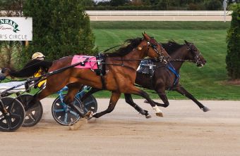 The Green Gazoo ties track record in $90,000 OSS leg