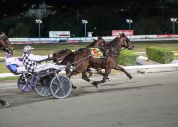 Honest Tims A Trooper upsets Wisper A Secret