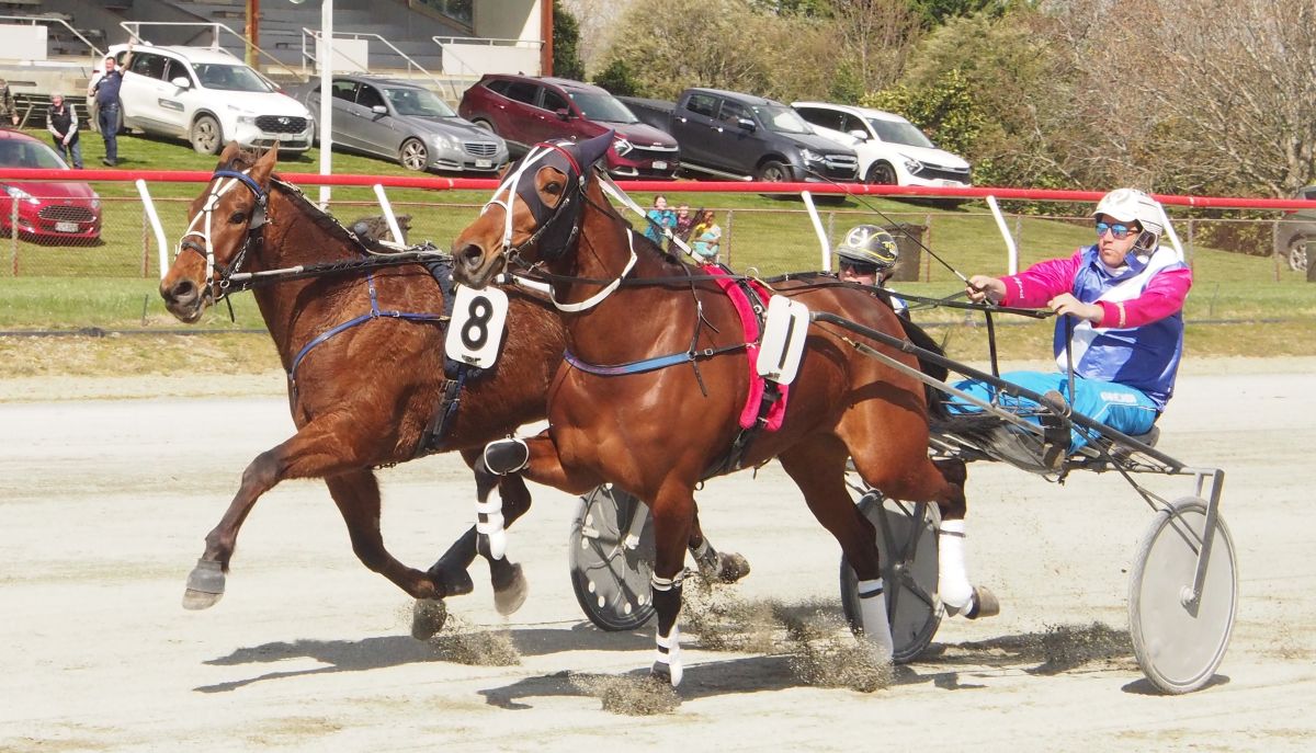 Three year old beats older rivals 1