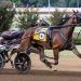 Champions crowned in eight $400,000 Kentucky Championship finals