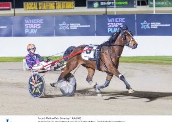 Tracy The Jet looks star material following brilliant Nutrien win