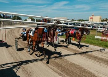 OHHA to Live Stream from Tuscarawas County Fair