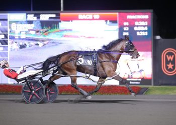 Stakes record for Twin B Joe Fresh in $210,000 Milton Stakes