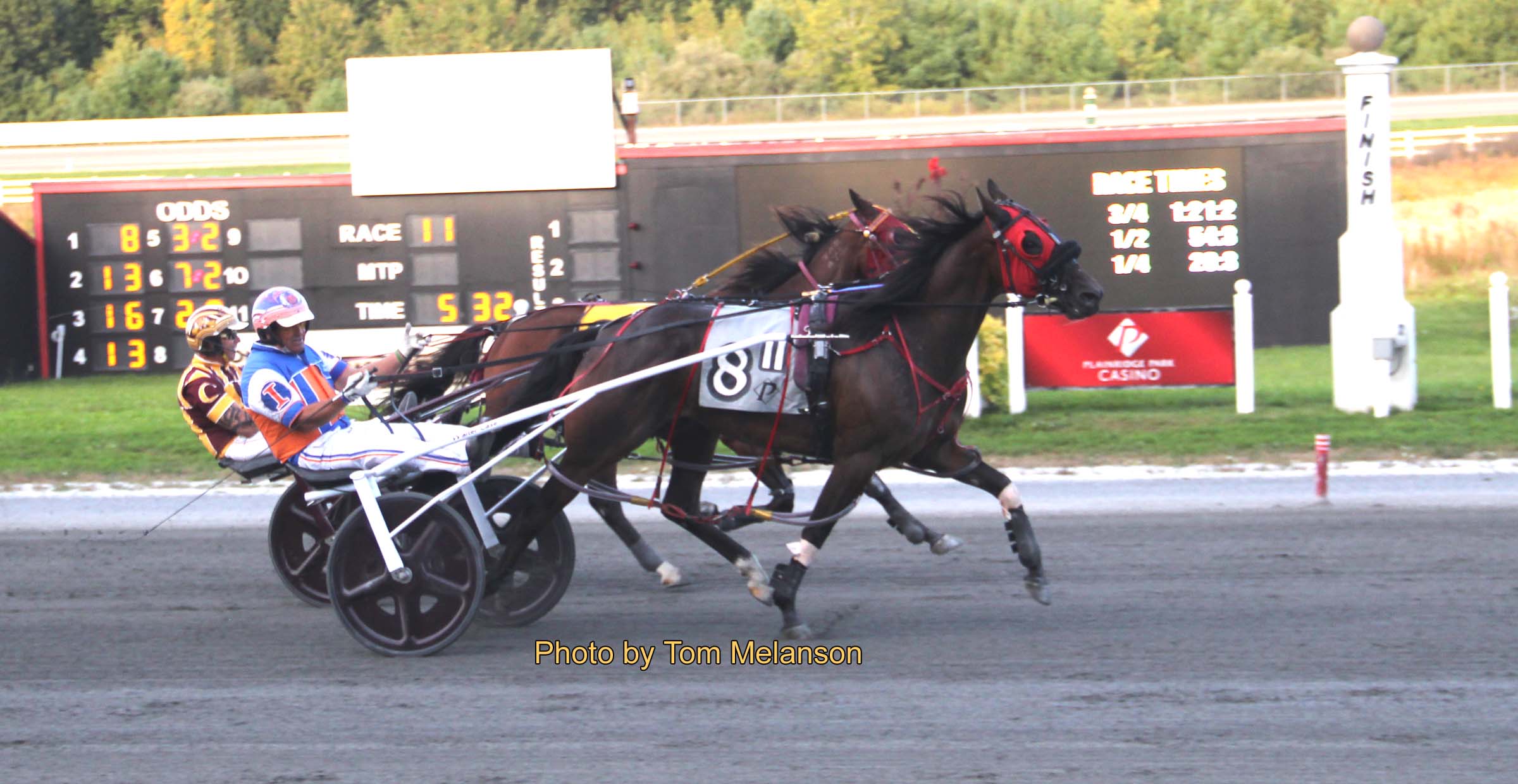 Always Bstunning N, Two Fold Cold win Open paces 2