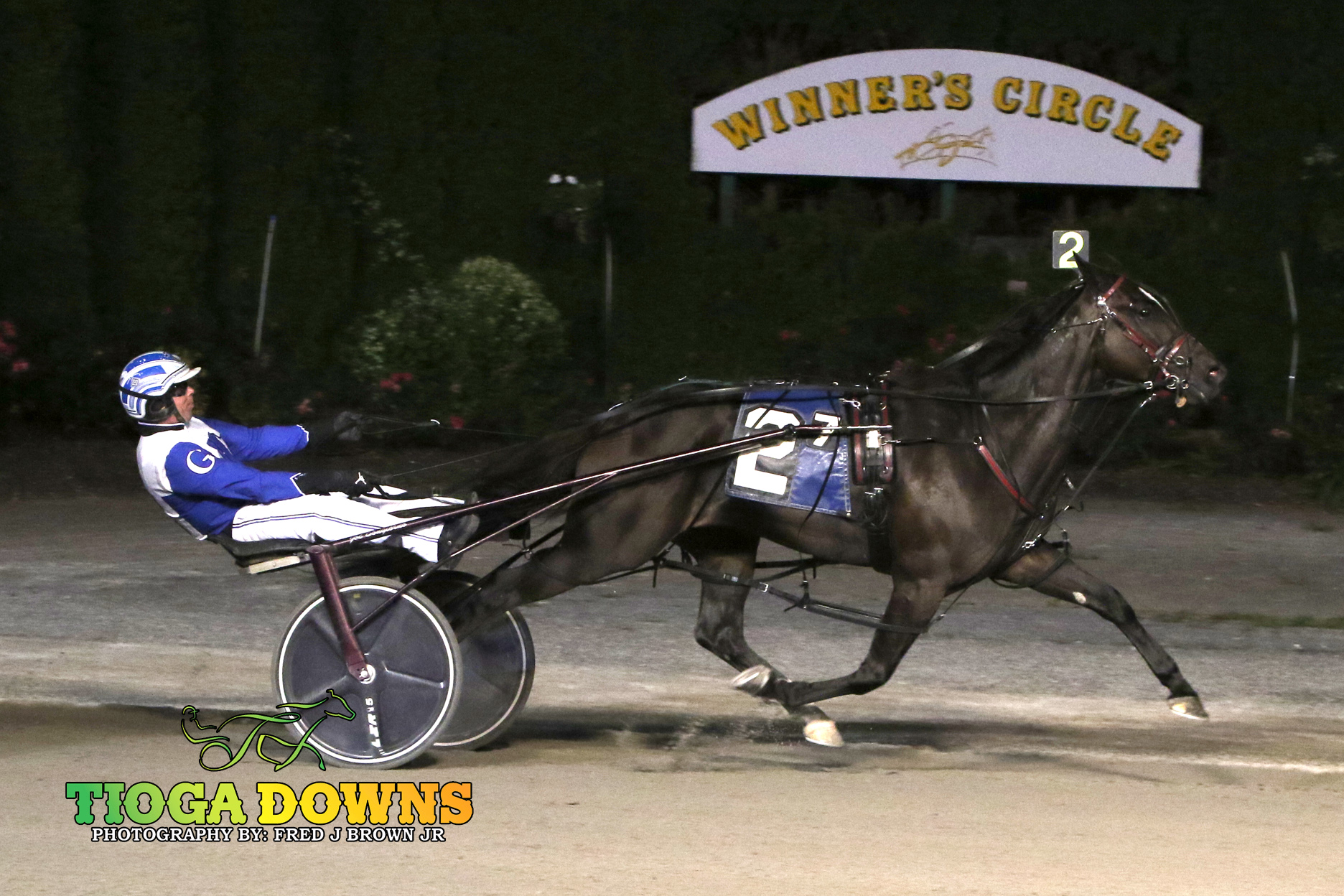 Typhoon Banner N storms to Open Pace win 1