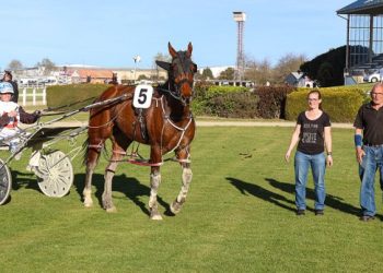 Wavewatcher gives Latimer 50th winner