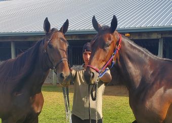 Eicher rolling the dice with Yahtzee