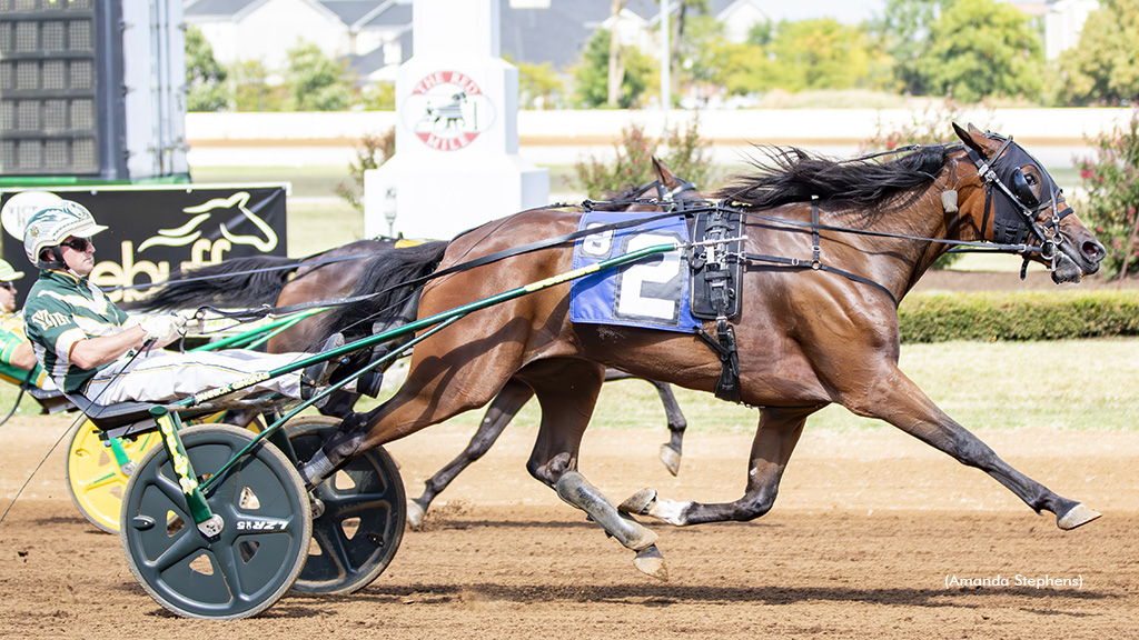 Three in a row for Winnpanzee 1