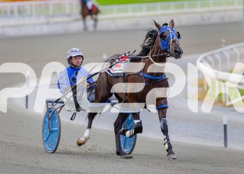 Wishing Belle just keeps raising the bar