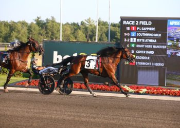 Zette Athena owners pay $30,000 (CAD) fee to enter Elegantimage Stakes