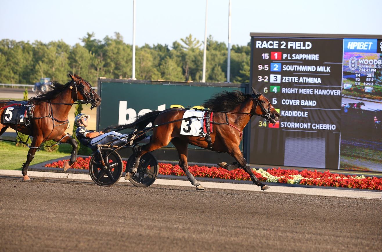 Zette Athena owners pay $30,000 (CAD) fee to enter Elegantimage Stakes 1