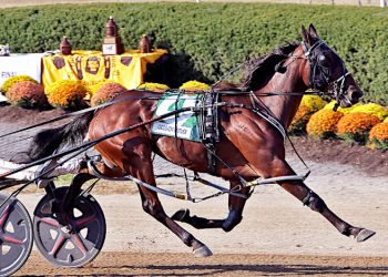 Louprint, Odds On Outlier victorious in Little Brown Jug elims
