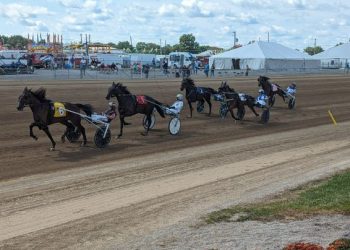 Freshmen stars headline Buckeye Stallion Series finale