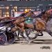 ‘Ervin’ looks to keep his groove in Dayton Pacing Derby