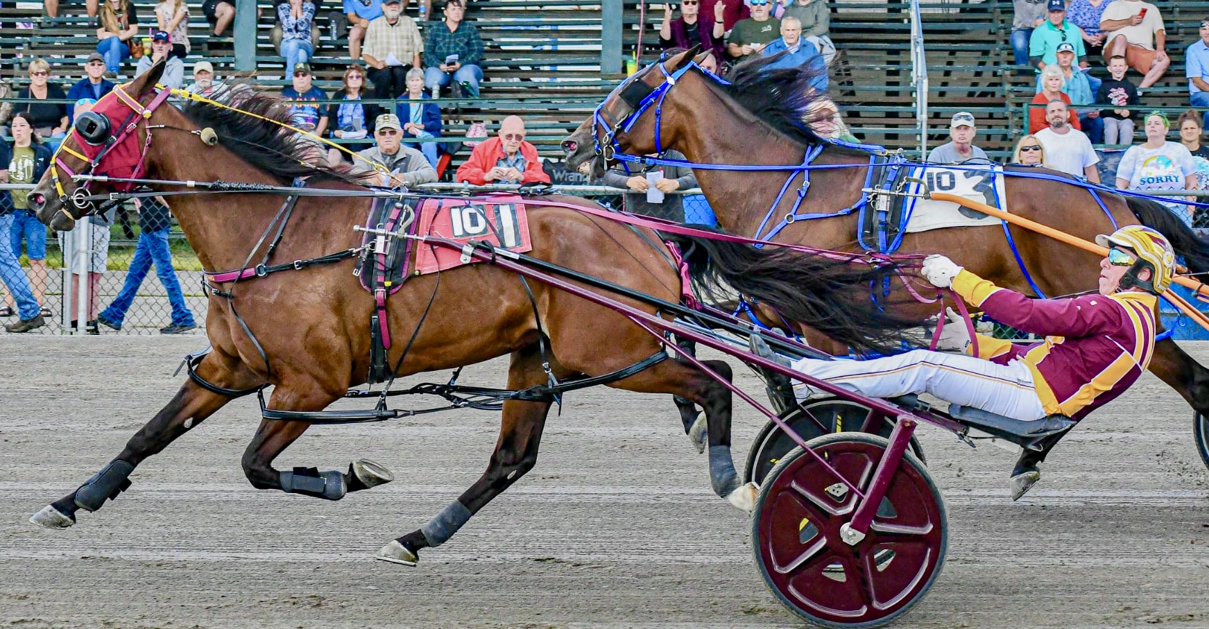 Ex-New Zealander wins Windsor Fair Invitational 1