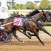 Mr Big Spender strong in $330,000 2YO Bluegrass division 4