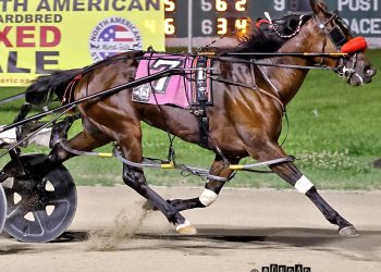 Small stable, Big stage for Rose Run Aimee