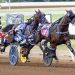RELEASE: Signal Caller Strikes in Bluegrass Colt Pace