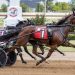 Topville Lucky holds on in $246,000 Bluegrass division win 3