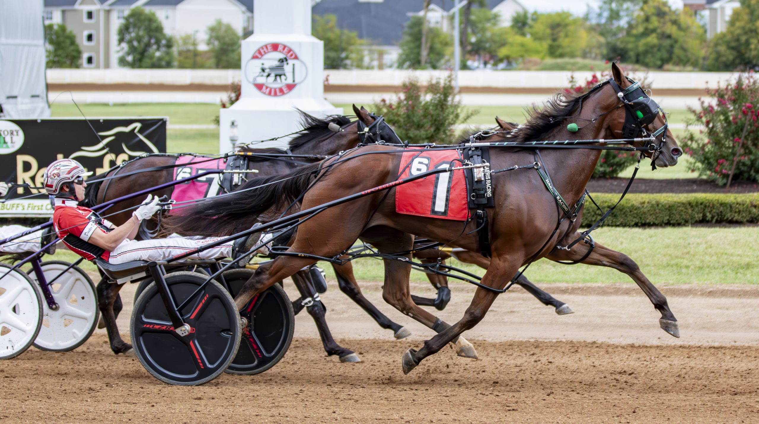 Topville Lucky holds on in $246,000 Bluegrass division win 1