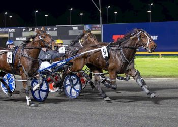 Graduates kicking goals and eight Lots to sell tonight