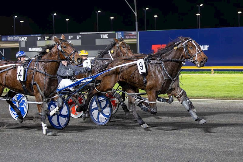 Graduates kicking goals and eight Lots to sell tonight 1