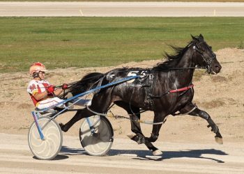 Two Birds Onestone and Main blister Northville record again