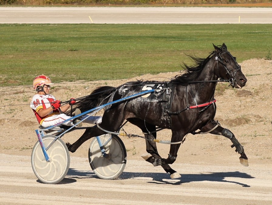 Two Birds Onestone and Main blister Northville record again 1