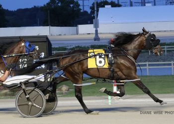 Twin B High Tide, Hunka Hunka highlight BSS finals