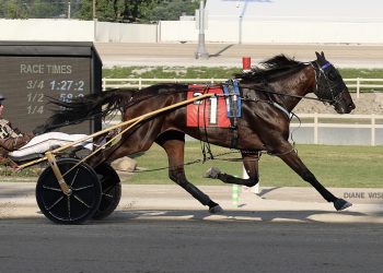 Travel Nurse vying for second straight BSS championship win