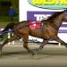 Franco Sheriff eyes Golden Nugget after strong win 9 Franco Sheriff eyes Golden Nugget after strong win