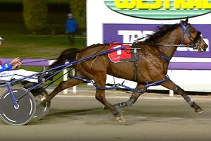 Franco Sheriff eyes Golden Nugget after strong win 1