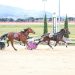 Gelded son of Lather Up wins racetrack debut