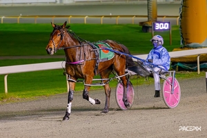 Remarkable winning run from Captainshavtime 1