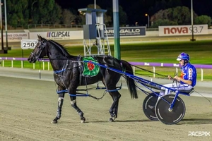 Favourite survives race full of drama 1