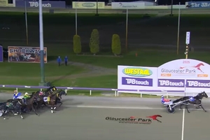 Mike Reed chasing third Four-Year-Old Classic win