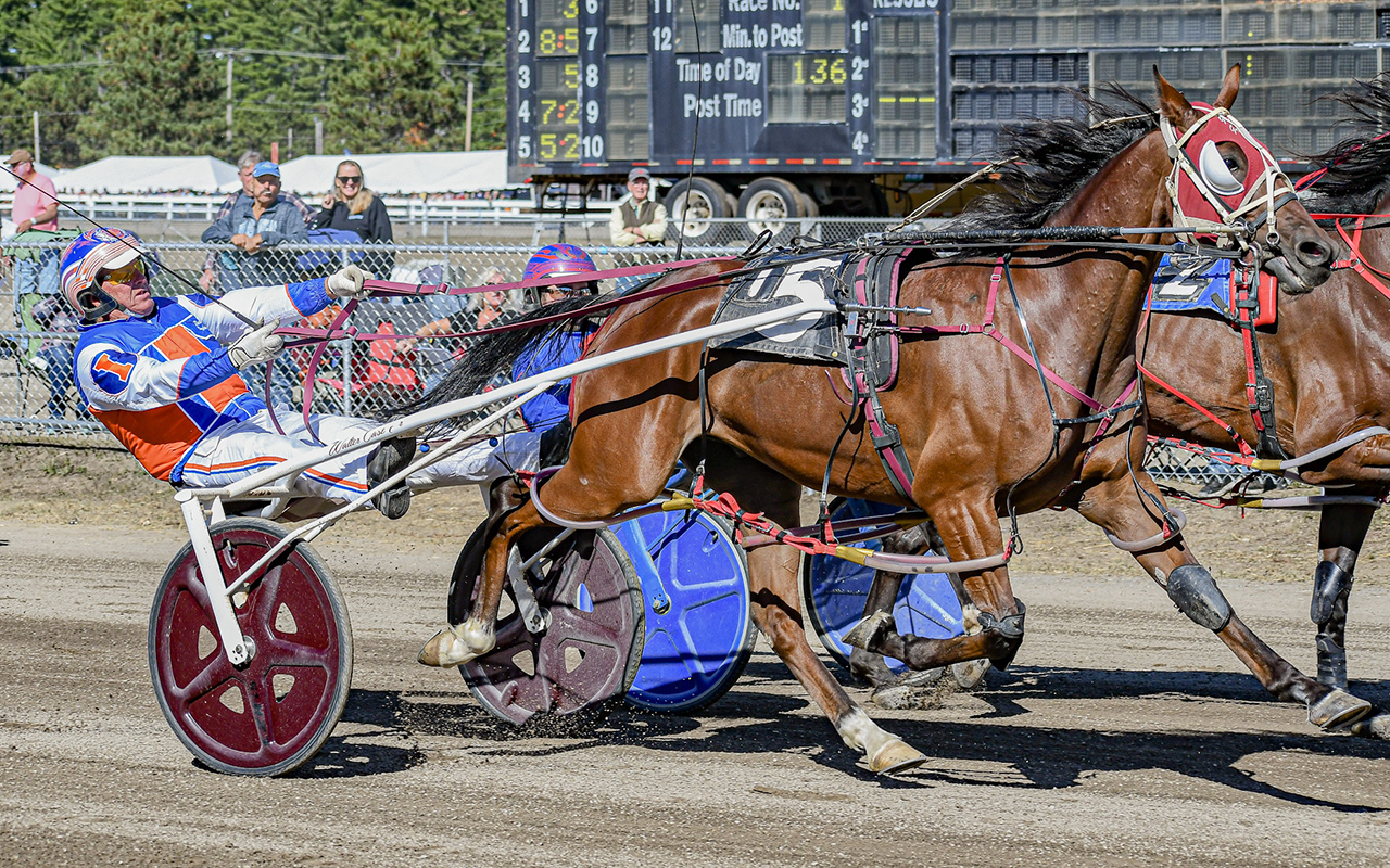 Dramatic stretch drives highlight Maine Sire Stakes divisions 2