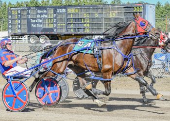 Dramatic stretch drives highlight Maine Sire Stakes divisions