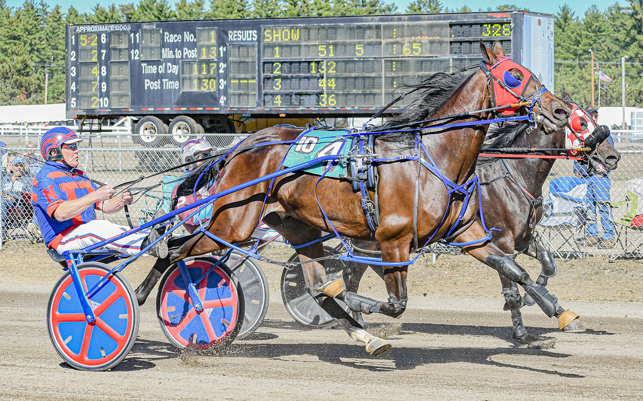 Dramatic stretch drives highlight Maine Sire Stakes divisions 1