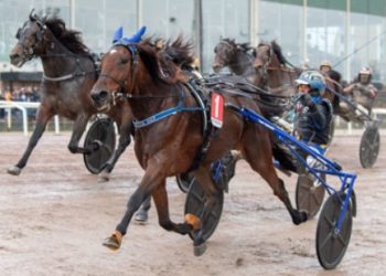 A Fair Day wins STL Gold at Jagersro