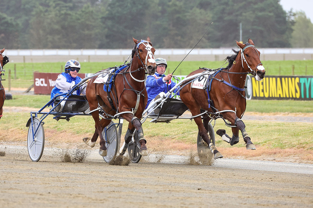 Ashburton undercard in review 4