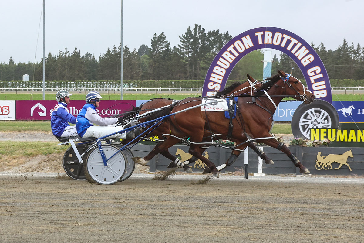 Ashburton undercard in review 5