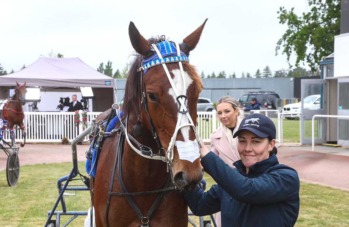 Ashburton undercard in review 6